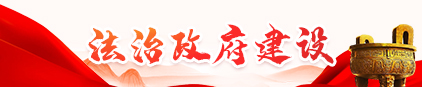 法制政府建設